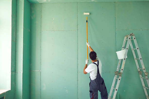 Mold Odor Removal Services in Palisade, CO