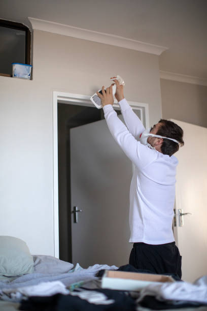 Best Environmental Consulting for Mold Prevention  in Palisade, CO
