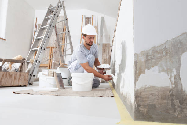 Best Airborne Mold Testing  in Palisade, CO