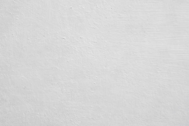Best Black Mold Removal  in Palisade, CO