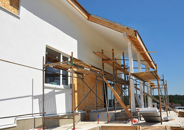 Best Industrial Mold Remediation  in Palisade, CO