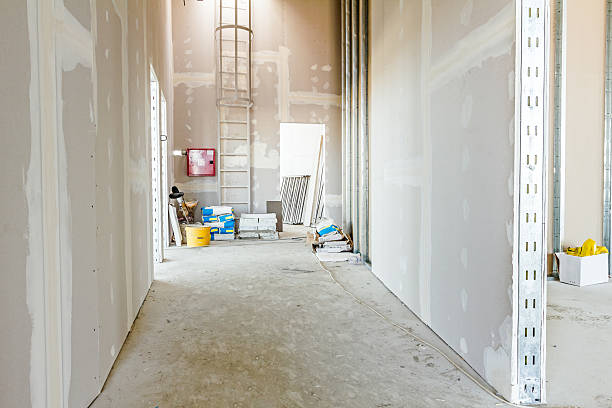 Best Emergency Mold Remediation  in Palisade, CO