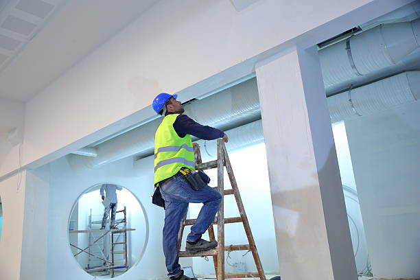 Best Residential Mold Inspection & Testing  in Palisade, CO