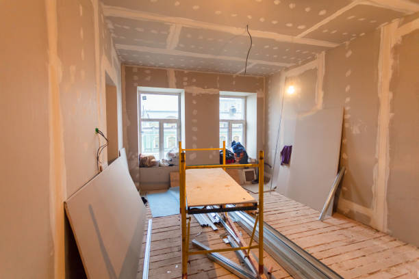 Trusted Palisade, CO Mold Removal Experts