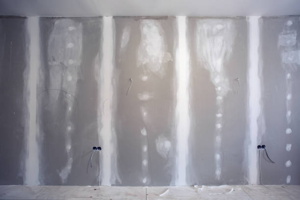 Best Crawl Space Mold Remediation  in Palisade, CO